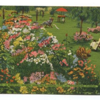 a-beautiful-garden-near-the-sunshine-city-st-petersburg-florida-3810