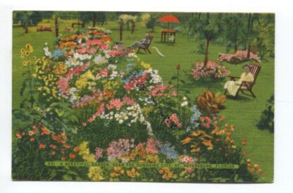 a-beautiful-garden-near-the-sunshine-city-st-petersburg-florida-3810