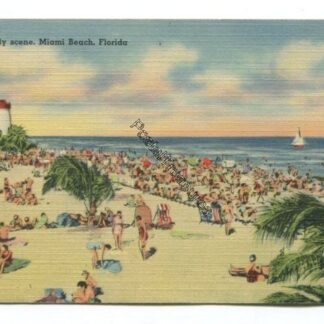 a-daily-scene-miami-beach-florida-3824