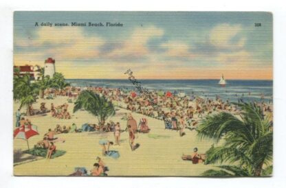 a-daily-scene-miami-beach-florida-3824