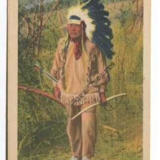 a-primitive-hunter-cherokee-indian-with-bow-and-arrow-on-cherokee-indian-reservation-cherokee-north-carolina-3726