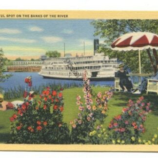 a-restful-spot-on-the-banks-of-the-river-3806
