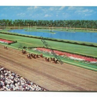 a-thrilling-race-at-hialeah-race-course-hialeah-florida-3833