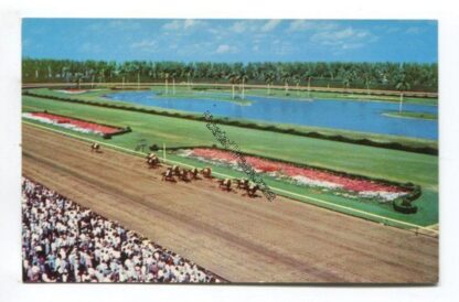 a-thrilling-race-at-hialeah-race-course-hialeah-florida-3833