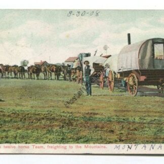 a-twelve-horse-team-freighting-to-the-mountains-3730