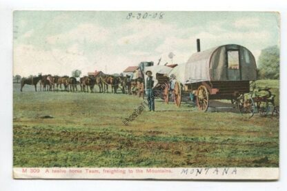 a-twelve-horse-team-freighting-to-the-mountains-3730