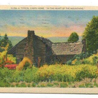 a-typical-cabin-home-in-the-heart-of-the-mountains-3750