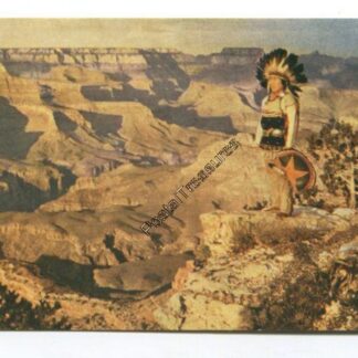 american-indian-at-grand-canyon-3735