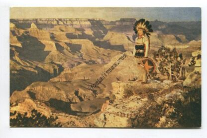 american-indian-at-grand-canyon-3735