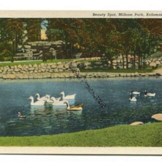 beauty-spot-milham-park-kalamazoo-mich-3791