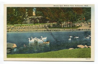 beauty-spot-milham-park-kalamazoo-mich-3791