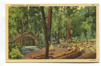 camp-fire-bowl-big-basin-calif-3802