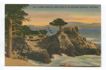 cypress-trees-on-a-rocky-point-of-the-monterey-peninsula-california-3797