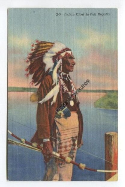 indian-chief-in-full-regalia-3736