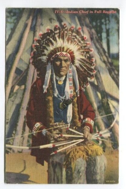 indian-chief-in-full-regalia-3738