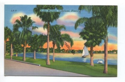 lake-morton-lakeland-florida-3827
