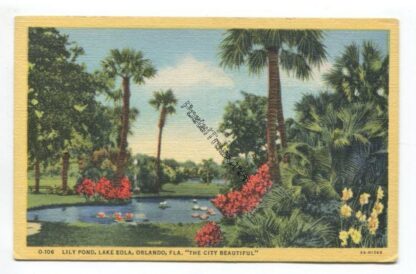 lily-pond-lake-eola-orlando-fla-the-city-beautiful-3820