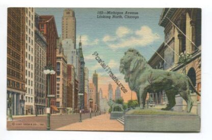 michigan-avenue-looking-north-chicago-3762