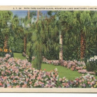 path-thru-easter-glade-mountain-lake-sancturay-lake-wales-fla-3825