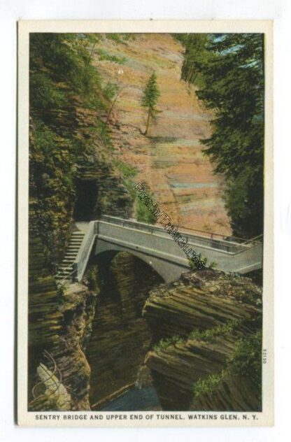 sentry-bridge-and-upper-end-of-tunnel-watkins-glen-ny-3795