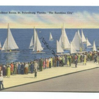 small-sailboats-at-races-st-petersburg-florida-the-sunshine-city-3819