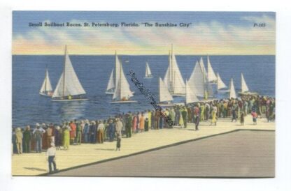 small-sailboats-at-races-st-petersburg-florida-the-sunshine-city-3819