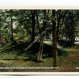 ambresbury-banks-or-boadicea-s-encampment-epping-forest-4052