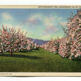 apple-blossom-time-shenandoah-valley-of-virginia-4364