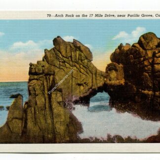 arch-rock-on-the-17-mile-drive-near-pacific-grove-california-4107