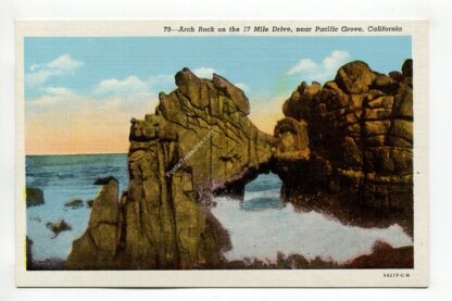 arch-rock-on-the-17-mile-drive-near-pacific-grove-california-4107