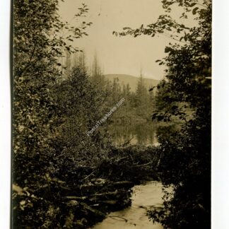 beaver-dam-kingfield-maine-4342