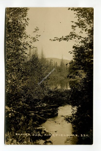 beaver-dam-kingfield-maine-4342