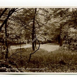bluebell-wood-zoological-park-whipsnade-4401