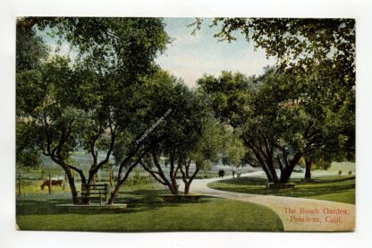 busch-garden-pasadena-california-4115