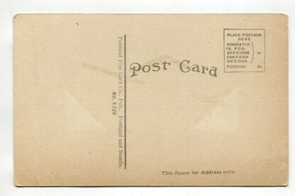 california-state-bldg-alaska-yukon-pacific-exposition-seattle-washington-1909-a15303