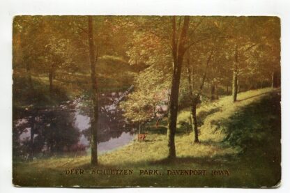 deer-schuetzen-park-davenport-iowa-4136