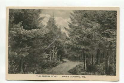 grassy-road-orr-s-landing-maine-4340