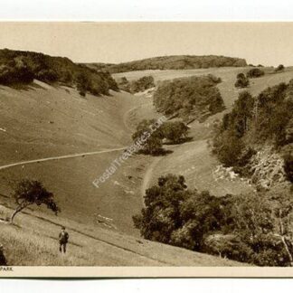in-arundel-park-4396