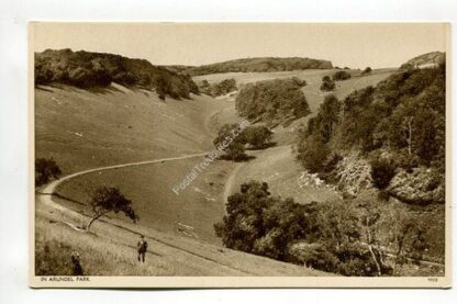 in-arundel-park-4396
