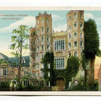 layer-marney-towers-colchester-4048