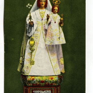 miraculous-image-our-lady-of-consolation-carey-ohio-4010