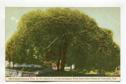old-constitutional-elm-in-the-shade-of-which-indiana-s-first-laws-were-framed-corydon-indiana-4169