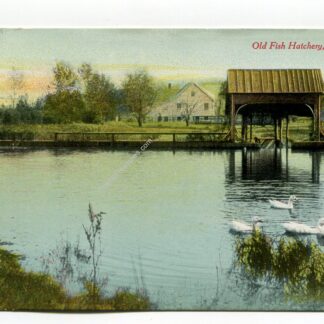 old-fish-hatchery-caribou-maine-4346