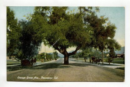 orange-grove-ave-pasadena-california-4116