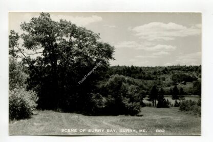 scene-of-surry-bay-surry-maine-4338