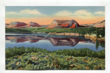 trapper-s-lake-white-river-national-forest-4311