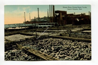 sheep-pens-union-stock-yards-south-omaha-nebraska-4428