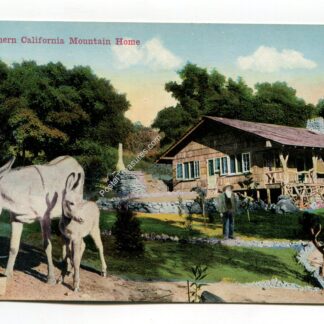 a-southern-california-mountain-home-4570