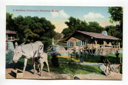 a-southern-california-mountain-home-4570