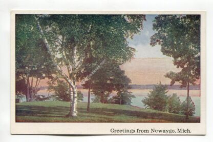 greetings-from-newaygo-michigan-4593